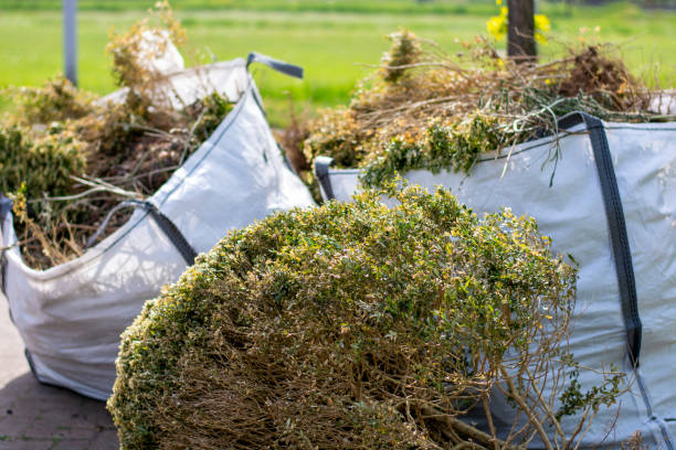 Best Junk Removal Near Me  in Spruce Pine, NC